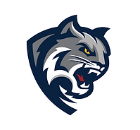 Walnut Grove High School Football logo
